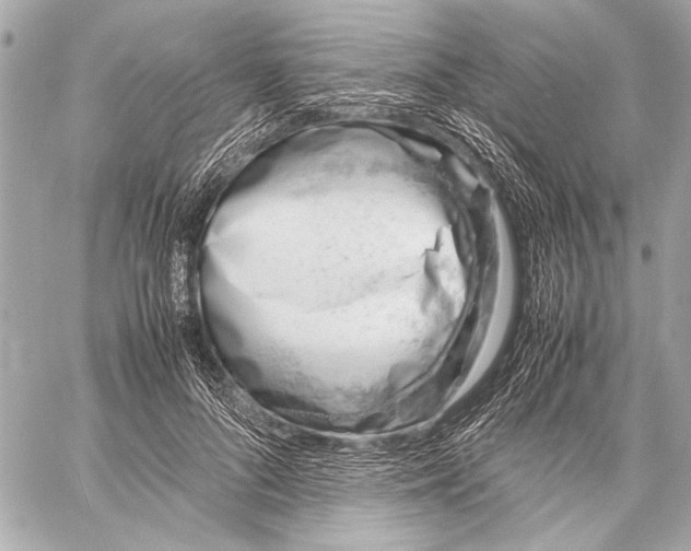 X0000057060696200510071407