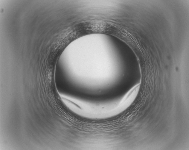 X0000057060697200510071407