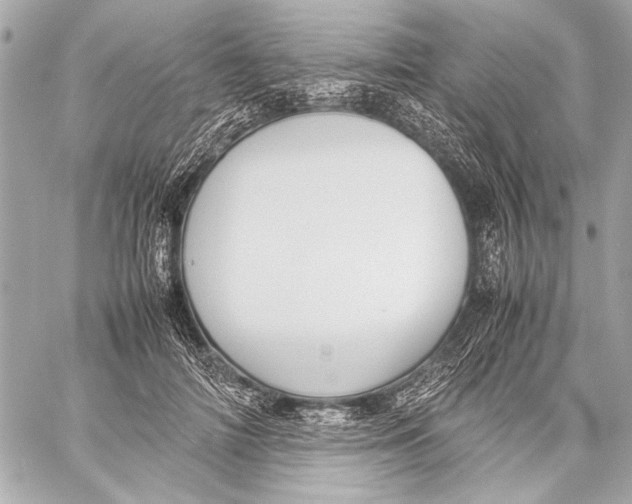 X0000057060698200510071407