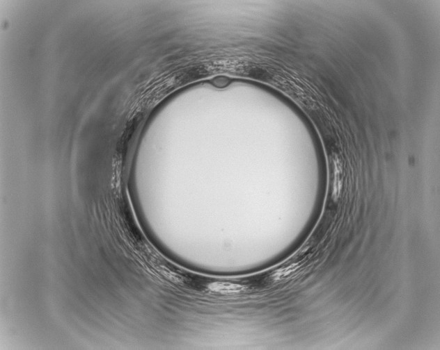 X0000057060699200510071407