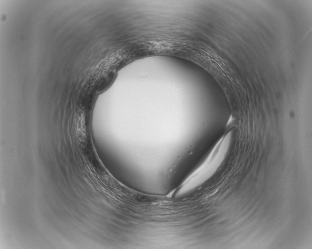 X0000057060700200510071407