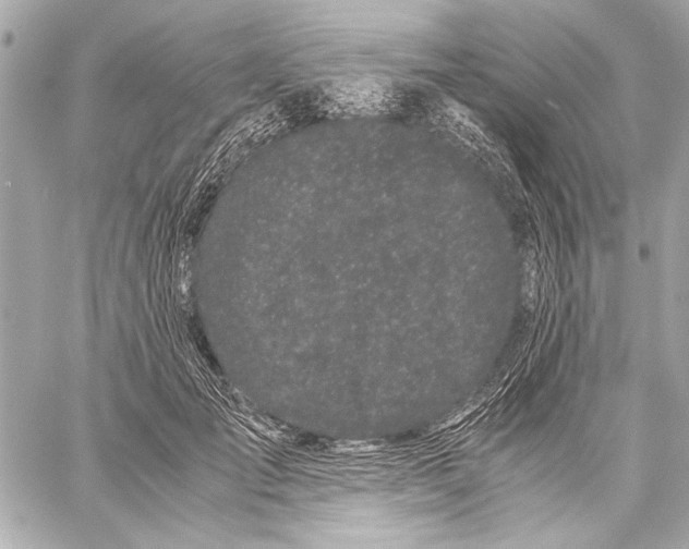 X0000057060701200510071407