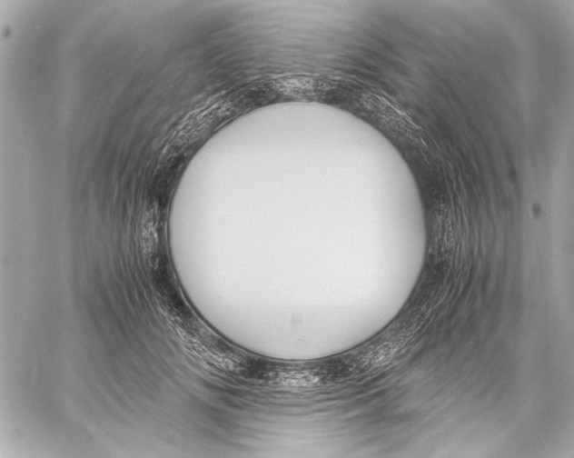 X0000057060702200510071407