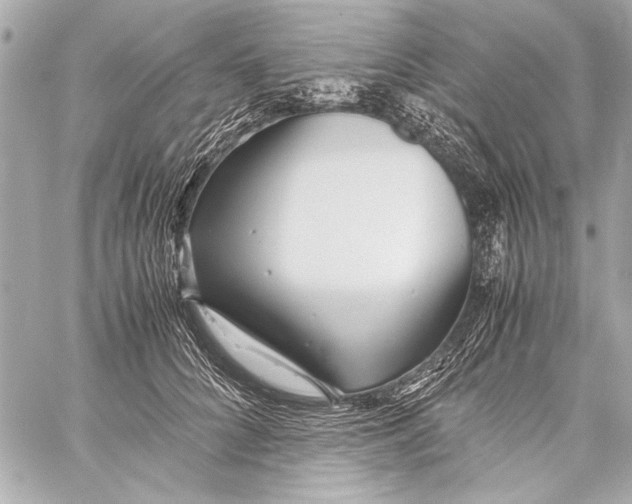 X0000057060704200510071407