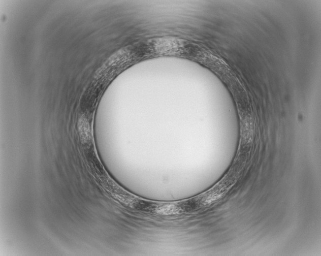 X0000057060705200510071407