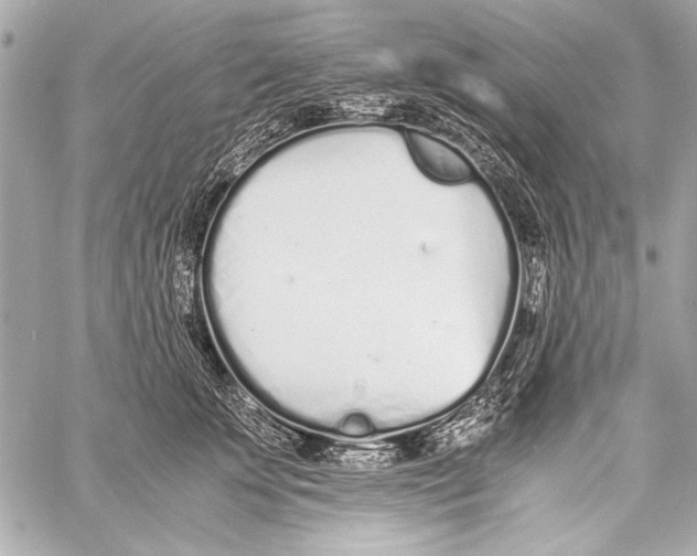 X0000057060707200510071407