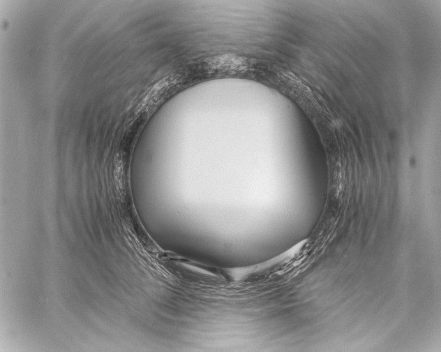 X0000057060708200510071407