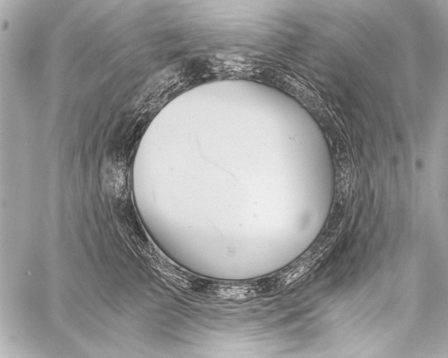 X0000057060709200510071407