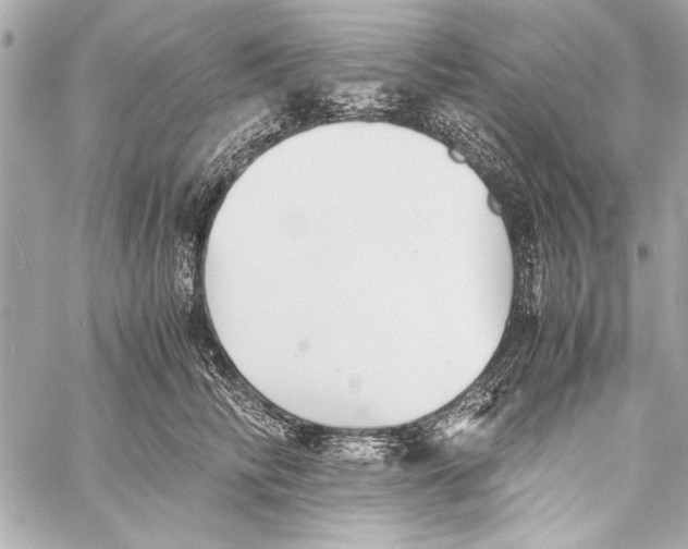 X0000057060710200510071407