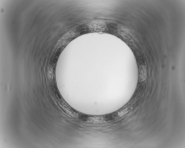 X0000057060713200510071406