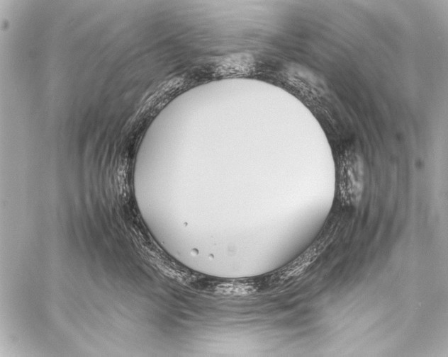 X0000057060714200510071406