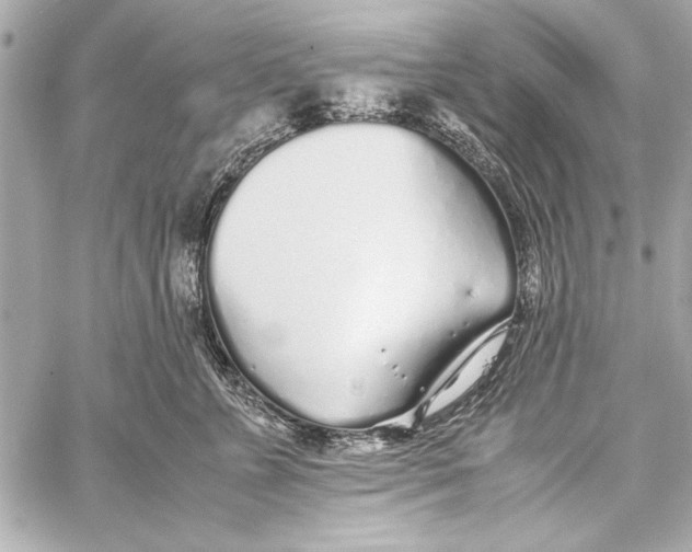 X0000057060715200510071406