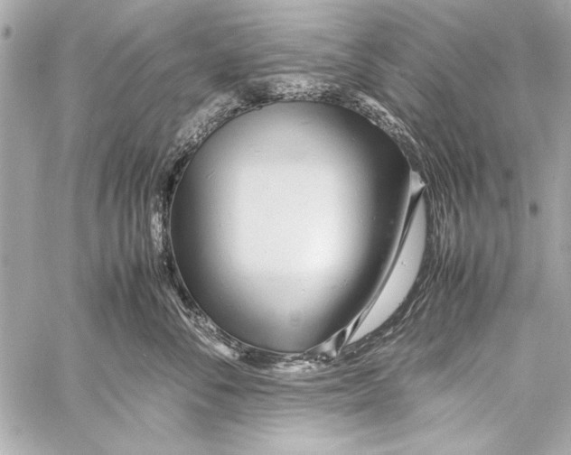 X0000057060716200510071406