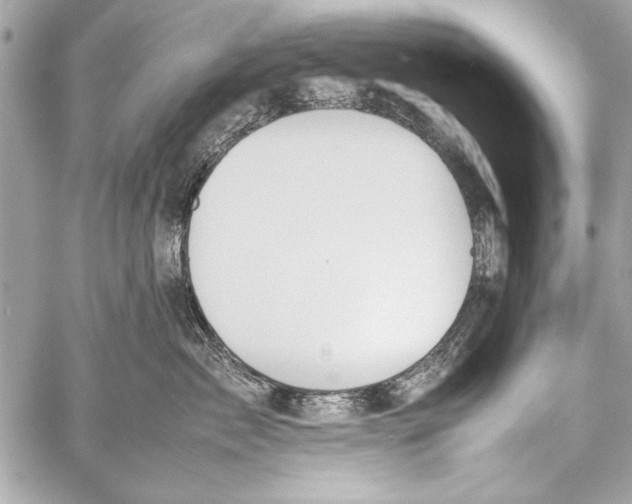 X0000057060717200510071406