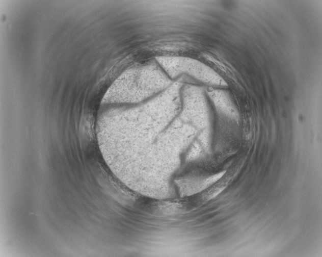 X0000057060718200510071406