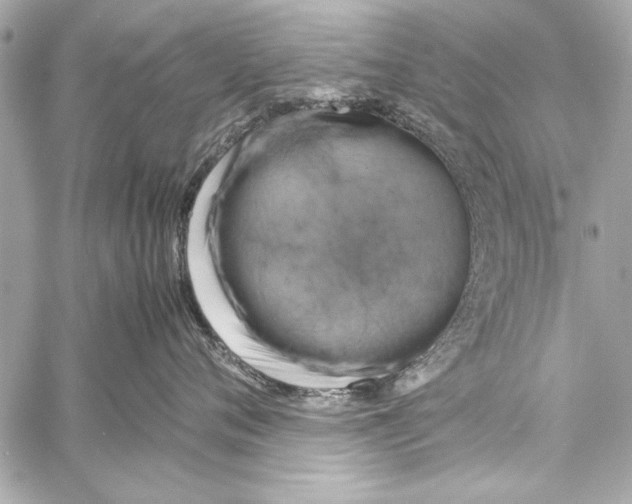 X0000057060720200510071406