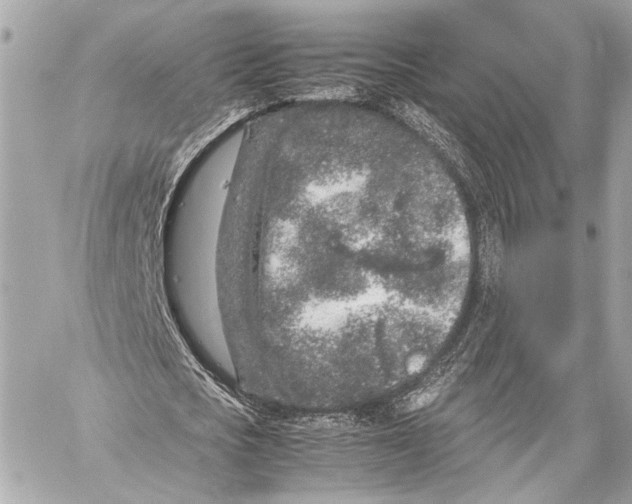 X0000057060721200510071406