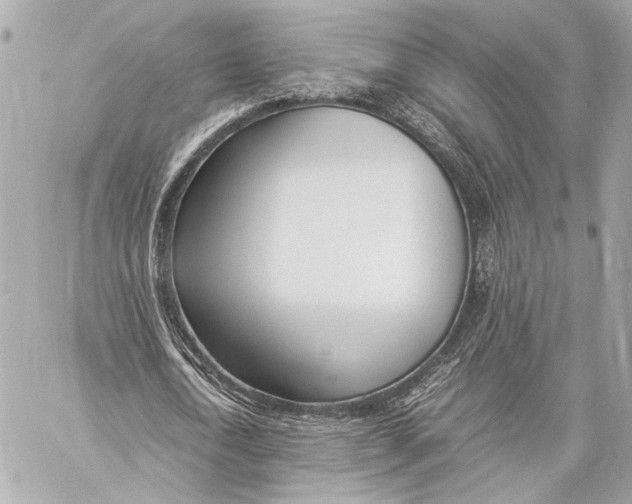 X0000057060722200510071406