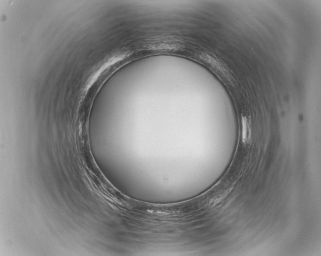 X0000057060723200510071406