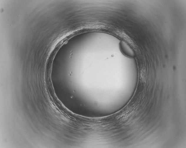 X0000057060724200510071406