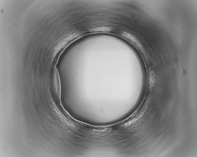 X0000057060725200510071406