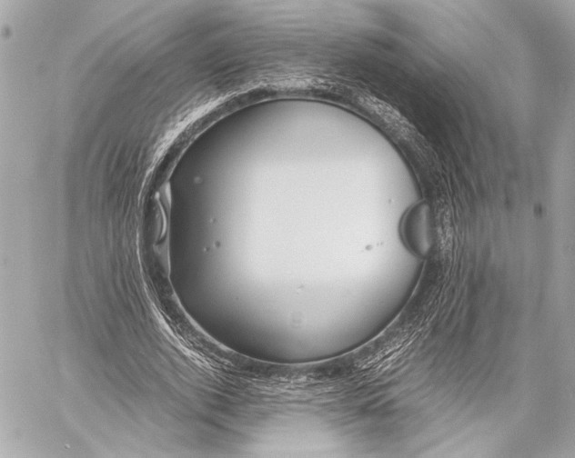 X0000057060728200510071406