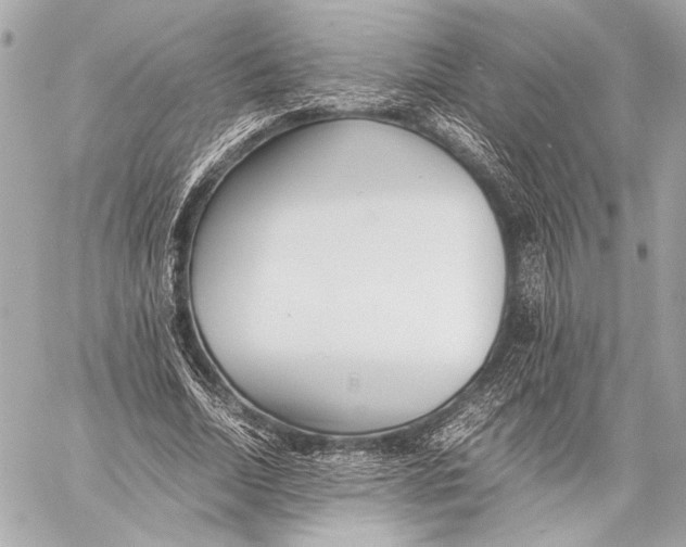 X0000057060730200510071406