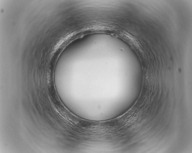 X0000057060732200510071406