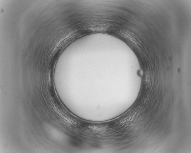 X0000057060733200510071406