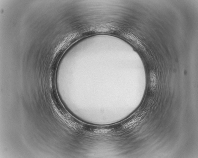 X0000057060734200510071406