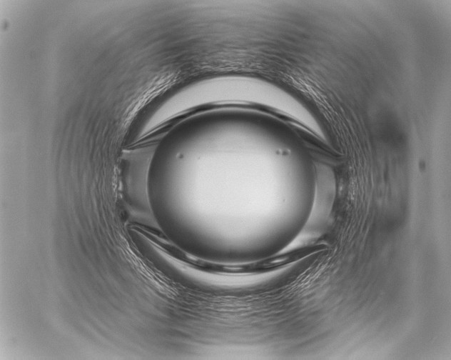 X0000057060735200510071406