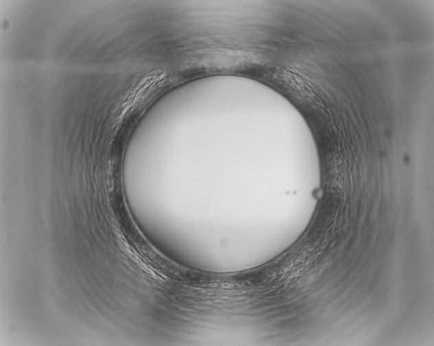 X0000057060738200510071406