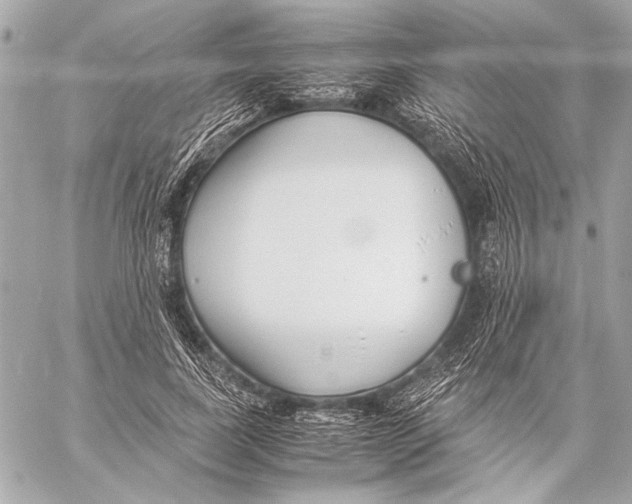 X0000057060739200510071406