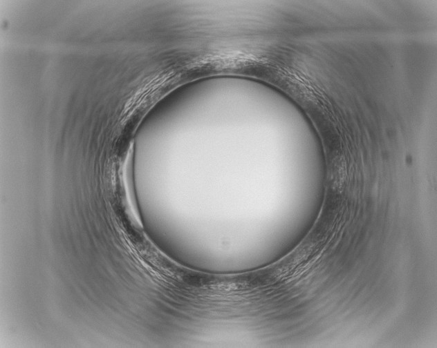 X0000057060740200510071406