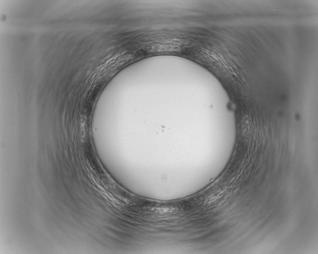 X0000057060741200510071406