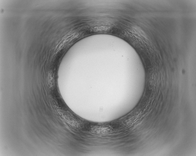 X0000057060743200510071406