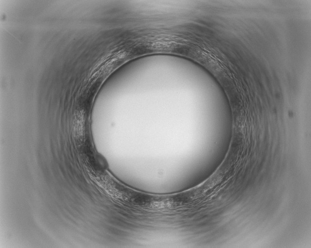 X0000057060744200510071406