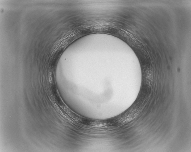 X0000057060746200510071406