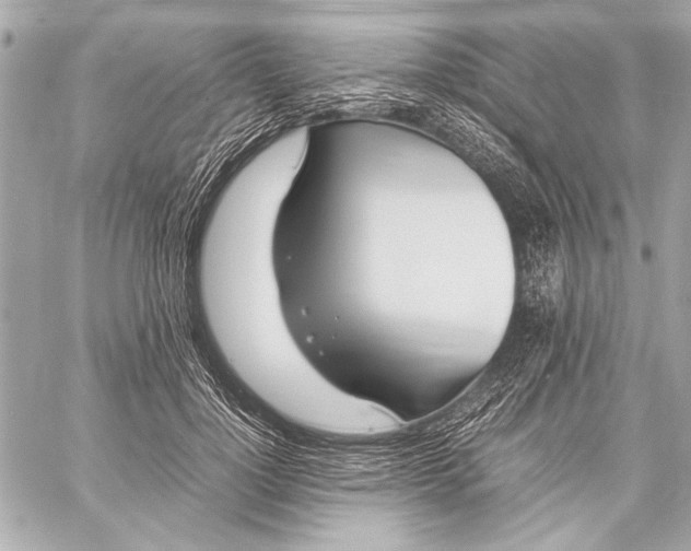 X0000057060748200510071406