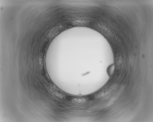 X0000057060749200510071406