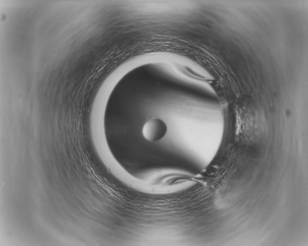 X0000057060750200510071406