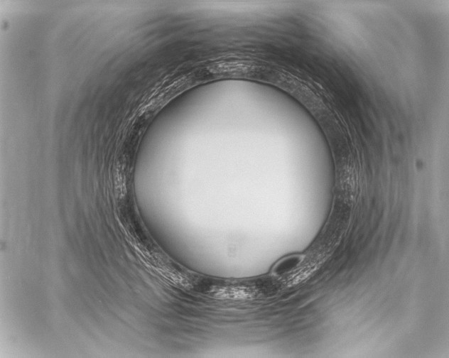 X0000057060751200510071406