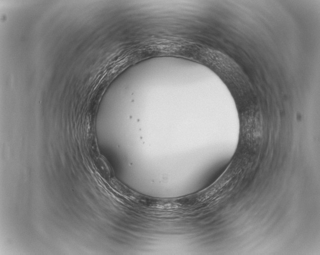 X0000057060752200510071406