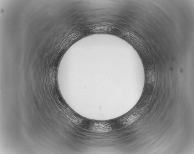 X0000057060753200510071406