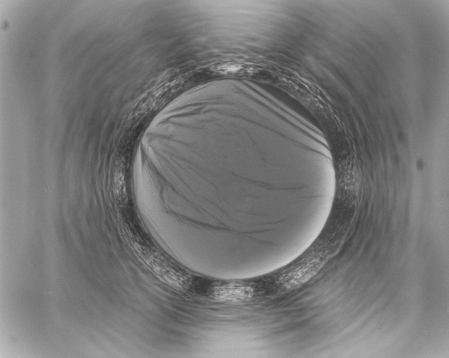 X0000057060754200510071406