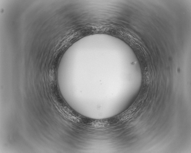 X0000057060756200510071406