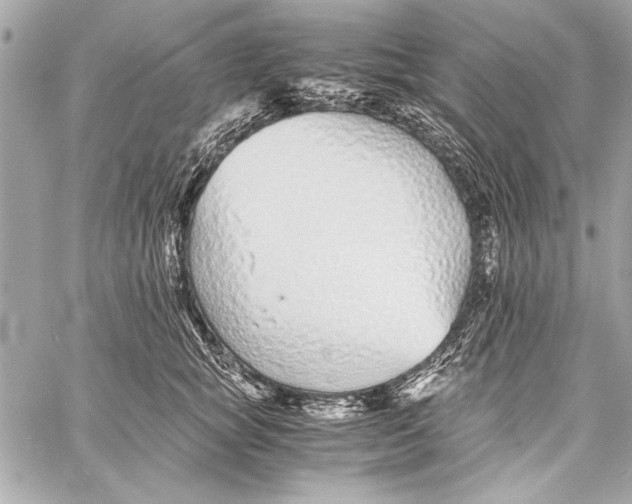 X0000057060757200510071406