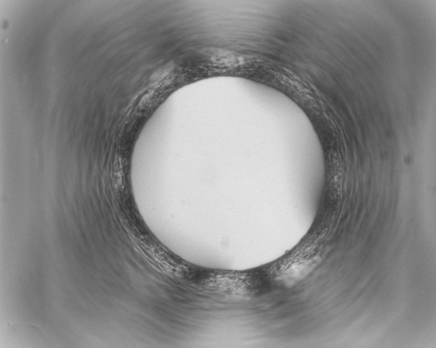 X0000057060758200510071406