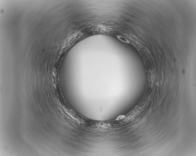 X0000057060760200510071406