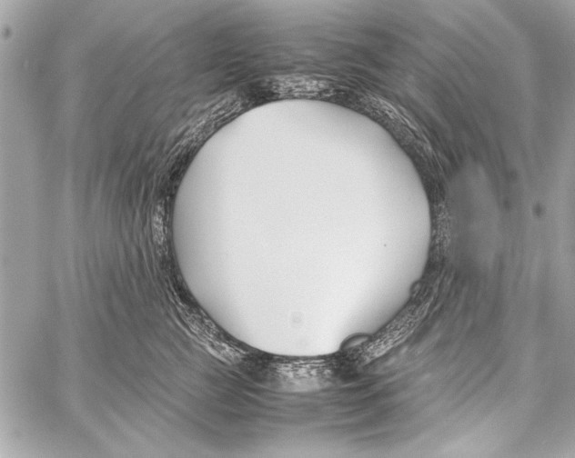 X0000057060761200510071406